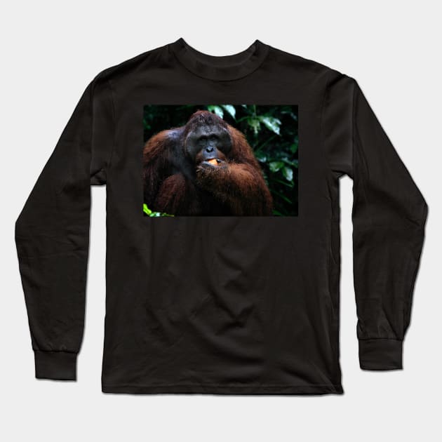 Large male Orangutan, Borneo Long Sleeve T-Shirt by Carole-Anne